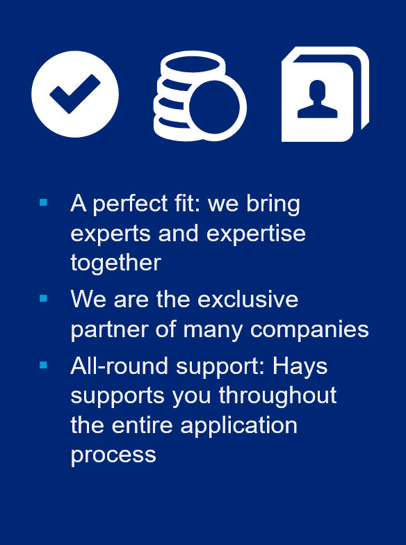 Left: Money, contact details, and tick icon in white on a blue background. Centre: White text with cyan bullet points: Fits perfectly: We bring experts and expertise together. We are an exclusive partner to many companies. All-round support: Hays supports you throughout the entire application phase. Right: Pink bubble "Advantages for applicants".