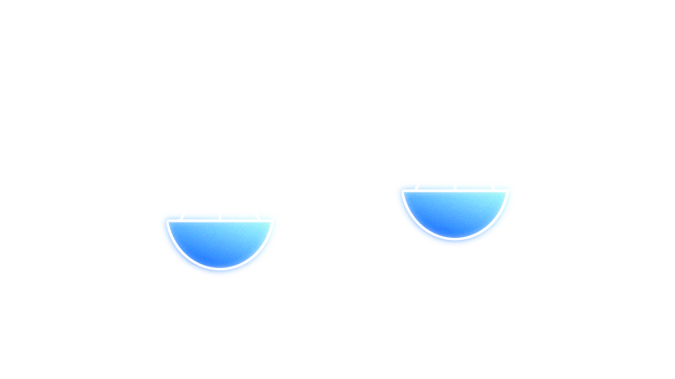 icon scale